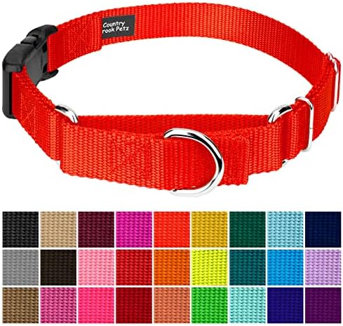 Martingale Dog Collar - Heavy Duty Nylon Adjustable Martingale Dog Collar with Plastic Buckle for Small Medium Large Breeds - 30+ Colors (1 Inch, Extra Large, Hot Orange)