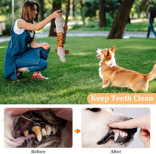 Squeaky Dog Toys, Stuffed Large Dog Toys to Keep Them Busy, Interactive Plush Chew Toys with Crinkle Paper, Tough Pet Animal Toys for Small Medium Large Dogs - Platypus