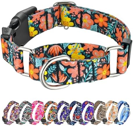Hikiko Martingale Collar for Dogs with Special Pattern,Adjustable,L