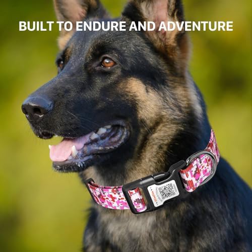 Personalized Dog Collar with QR Code Dog Tag, Camo Rose Red M
