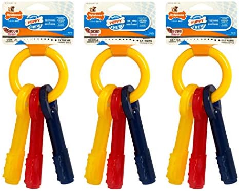 Nylabone 3 Pack of Bacon Puppy Teething Keys, X-Small