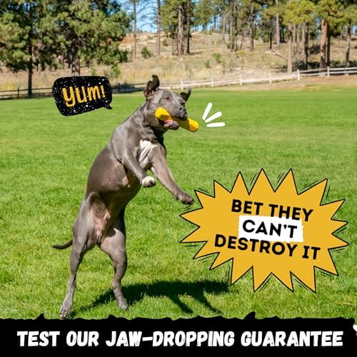 Indestructible Stick Dog Toy - Lifetime Replacement - Durable Chew Toy for Aggressive Chewers - Safe Non-Toxic Natural Rubber - Chew Tug & Fetch - Tough, Heavy Duty - Med/Large Breed, 8”x2”