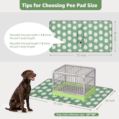 LOOBANI Washable Puppy Pads, Reusable Dog Pee Mat 36"x72", 2 Pack