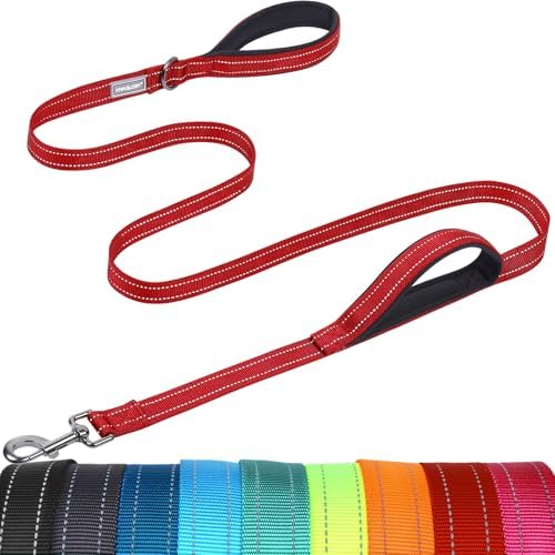 VIVAGLORY Double Handle Dog Leash Twingrip, 6ft x 1in, Red