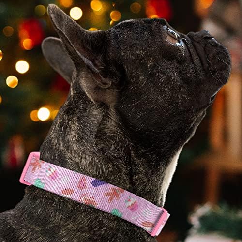 Pawtitas Soft Adjustable Puppy Collar Leash Harness Sold Separately Personalized Customizable Dog Collar Embroidered Customize Pet Name Phone Number Christmas Dog Collar Extra Small Christmas Cookies