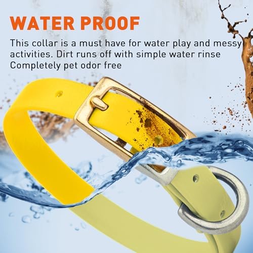 Viper Biothane Heavy Duty Waterproof Dog Collar Strong Coated Nylon Webbing w/Solid Brass Hardware Odor-Proof Easy to Clean High Performance Fits Small Medium or Large Dogs, Lemon Yellow