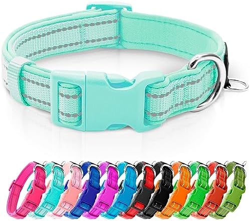 azuza Reflective Dog Collar,Soft Neoprene Padded Pet Collar with ID Tag Ring,Adjustable for Puppy and Small Dogs,Teal,XS