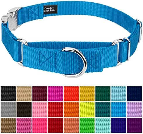 Country Brook Petz - Martingale Dog Collar - Heavy Duty Nylon Adjustable Martingale Dog Collar with Metal Buckle for Small Medium Large Breeds - 30+ Color Options (5/8 Inch, Extra Small, Ice Blue)