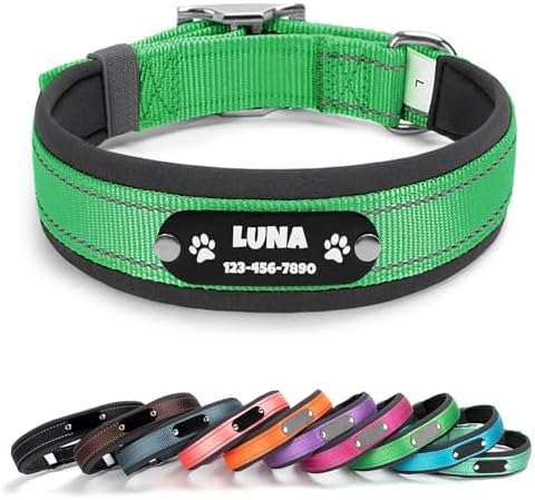Personalized Reflective Dog Collar with Name, Green: XL