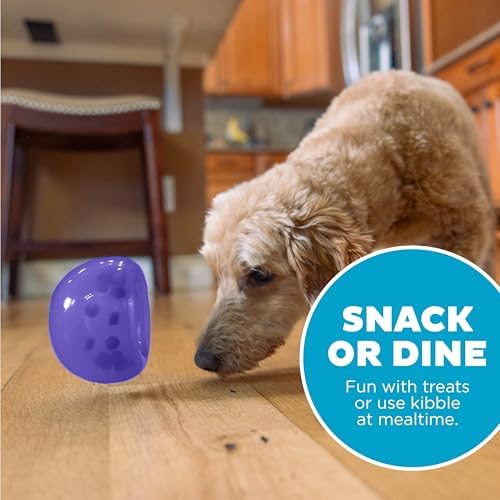 Outward Hound Lil' Snoop Interactive Treat Dispensing Dog Toy, Purple, 3.9"