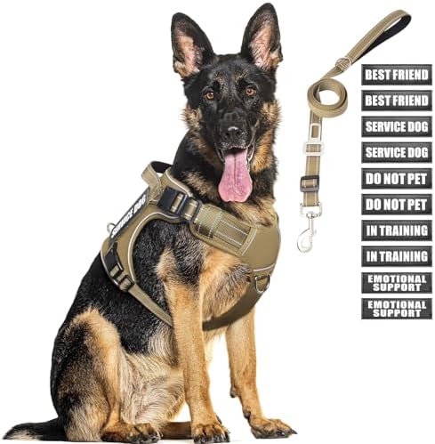 Tactical Dog Harness and Leash Set with 10 Patches for Large Dogs