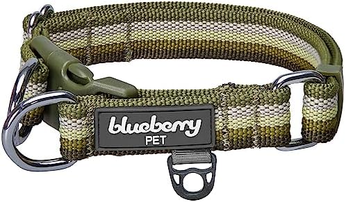 Blueberry Pet Dual D-Ring Safety Dog Collar | Adjustable Nylon Collar with Multicolor Stripes in Olive| Durable Collar Size X-Large for Large Breeds
