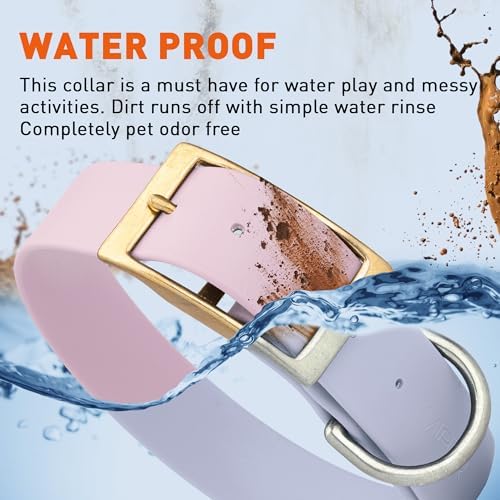 Viper Biothane Heavy Duty Waterproof Dog Collar Strong Coated Nylon Webbing w/Solid Brass Hardware Odor-Proof Easy to Clean High Performance Fits Small Medium or Large Dogs, Pastel Purple