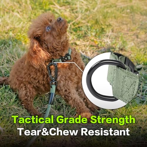 PawsPassion Dog Collars for X-Large Dogs, Heavy Duty Tactical Dog Collar with Metal Buckle, Durable Pet Collar Quick Release, Reinforced Nylon No Pull Dog Collar (Evergreen, XL)