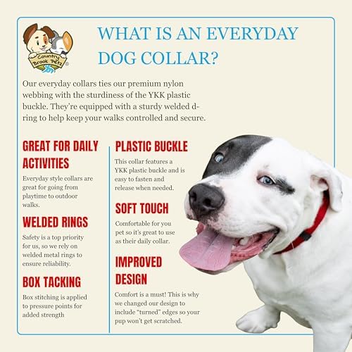 Country Brook Petz - Everyday Nylon Dog Collar for Large, Medium, and Small Dogs and Puppies - for Everyday Use in 30+ Colors (Small, 3/4 Inch Wide, Red)