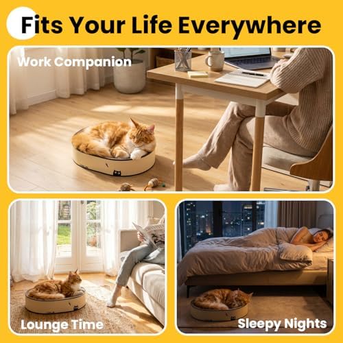 Conlun Oval Cat Scratcher Bed | Scratching Bowl Lounge for Kittens | Medium