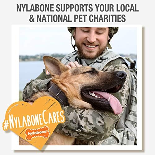 Nylabone Power Chew Curvy Dental Bone Dog Chew Toy, Large