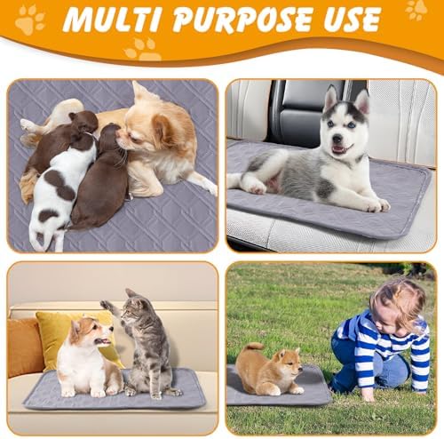 Washable Dog Pee Pads 2 Pack, 24 x 18 in, Reusable Waterproof Grey