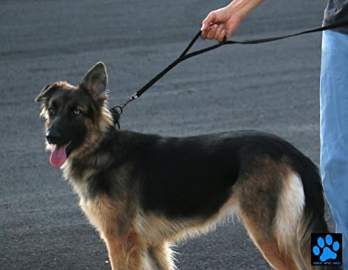 Max and Neo Double Handle Traffic Dog Leash - Reflective, Donates to Dog Rescue (Black, 6 FT)
