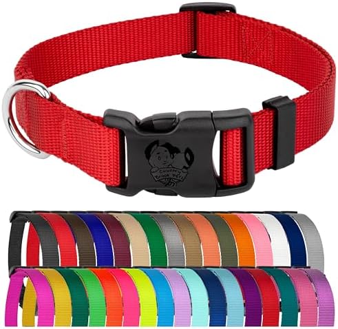 Country Brook Petz - Everyday Nylon Dog Collar for Large, Medium, and Small Dogs and Puppies - for Everyday Use in 30+ Colors (Medium, 3/4 Inch Wide, Bright Red)