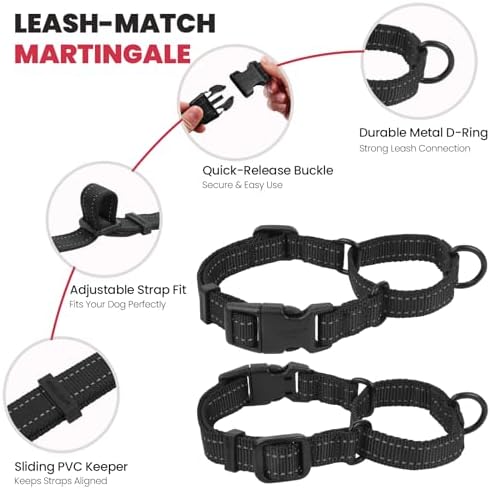VIVAGLORY Double Handle Dog Leash Twingrip, 5ft x 1in, M2, Black