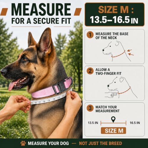 Pink Tactical Dog Collar with Handle, Heavy Duty for Medium Dogs