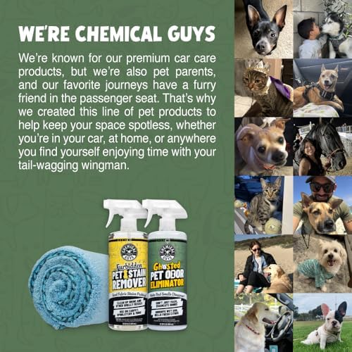 Chemical Guys, Ghosted Pet Odor Neutralizer Spray, Citrus Scent, 32 fl oz
