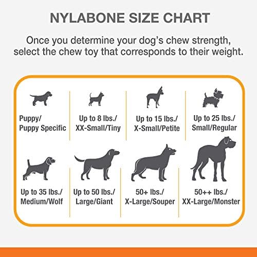 Nylabone Rib Bone Alternative Power Chew Toy for Dogs, Dog Toys for Aggressive Chewers, Beef Flavor, Large - Up to 50 lbs, 1 Count