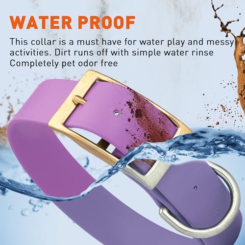 Viper Biothane Heavy Duty Waterproof Dog Collar Strong Coated Nylon Webbing w/Solid Brass Hardware Odor-Proof for Easy Care to Clean High Performance Fits Small Medium or Large Dogs, Amethyst Purple