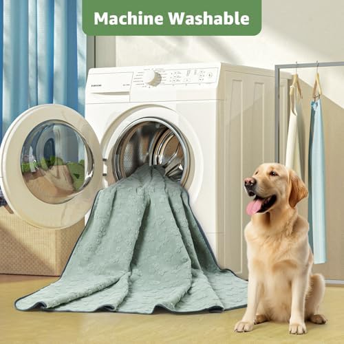 LOOBANI 2 Pack Extra Large Reusable Pee Pads for Dogs, Whelping, 54"x54"