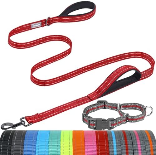 VIVAGLORY Double Handle Dog Leash Twingrip, 5ft x 1in, S, Red Grey