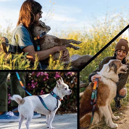 Wolfgang Heavy Duty, Adjustable Dog Collar with Quick Release Nylon Buckle for Walking & Training, ChevTech Print, Small