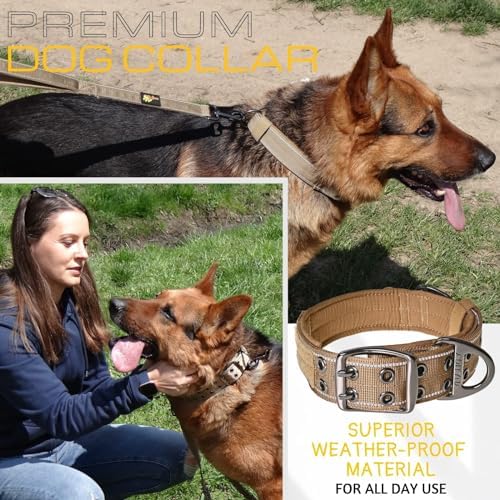 ADITYNA Heavy Duty Dog Collar for Large Dogs with Traffic Handle