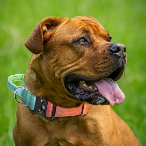 TSPRO Tactical Dog Collar, Heavy Duty Quick Release Metal Buckle and Handle