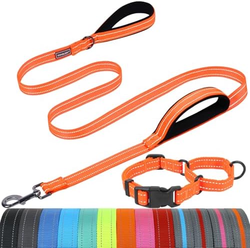 VIVAGLORY Double Handle Dog Leash Twingrip, 5ft x 1in, M2, Orange