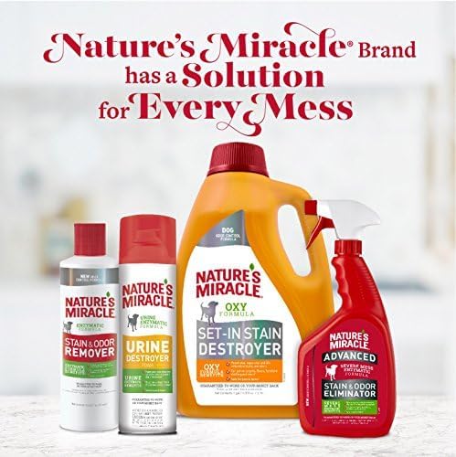 Nature’s Miracle Advanced Cat Stain & Odor Eliminator, Severe Mess, 1 gal | Enzymatic Cleaner Eliminates the Toughest Cat Messes, For Use on Multiple Surfaces, Safe For Pets and Home*, Sunny Lemon