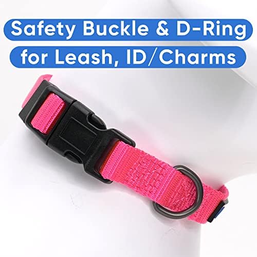 Pawtitas Solid Color Pink Puppy or Dog Collar, Medium
