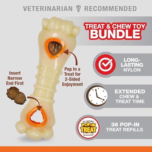 Nylabone Power Chew Knuckle Bone & Pop-in Dog Treat Toy & 30 Treat Refills