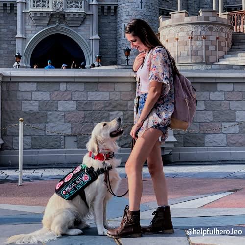 OneTigris Service Dog Harness No-Pull Dog Harness Adjustable Comfort Pet Dog Vest Harness for Outdoor Walking Medium Black