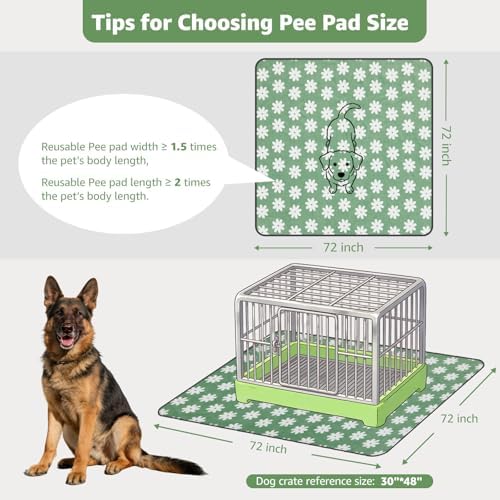 LOOBANI Extra Large Washable Puppy Pads for Incontinence 72"x72",1 Pack