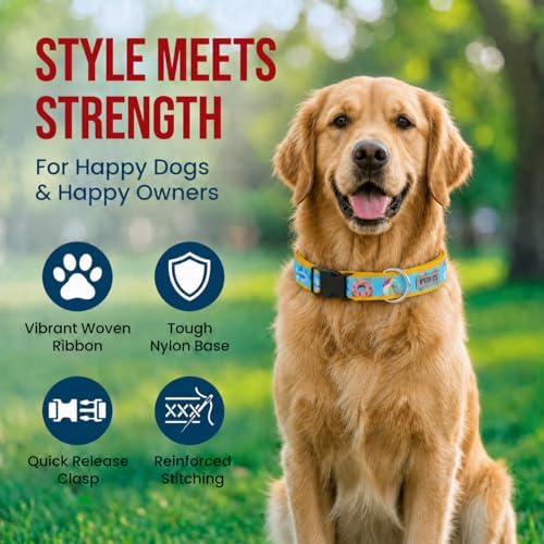 THE WORTHY DOG Summer Print, Adjustable Dog Collar, Large Dogs, Pool Party