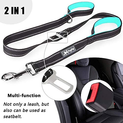 PoyPet 5 Feet Dog Leash with 2 Cushioned Handles (Mint Blue)