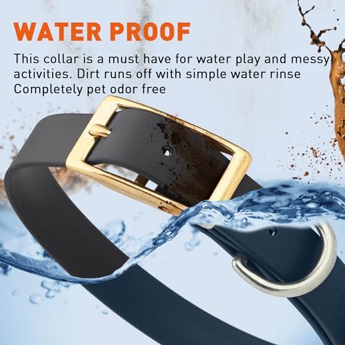 Viper Biothane Heavy Duty Waterproof Dog Collar Strong Coated Nylon Webbing w/Solid Brass Hardware Odor-Proof Easy to Clean High Performance Fits Small Medium or Large Dogs, Black