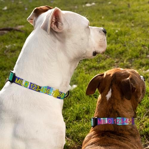 Pawtitas Personalized Dog Collar LargeDog Collar Embroider Name Phone Number Puppy Collar Adjustable Customized Collar for Large Dogs Breeds Multicolor Dog Collar