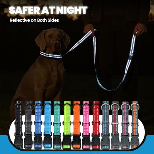 VIVAGLORY Double Handle Dog Leash Twingrip, 5ft x 1in, M2, Blue Grey