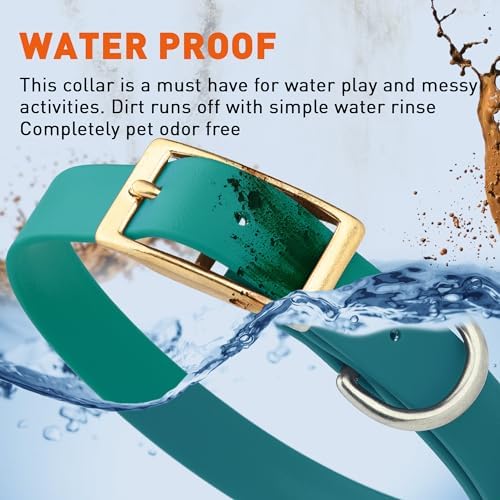 Viper Biothane Heavy Duty Waterproof Dog Collar Strong Coated Nylon Webbing w/Solid Brass Hardware Odor-Proof Easy to Clean High Performance Fits Small Medium or Large Dogs, Blue Aqua