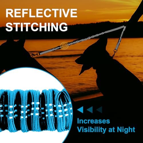 MingXpet 2 Dog Leash, Dog Leash for 2 Dogs, 360° Swivel No Tangle Double Walking Training Leashes for Small Dogs, Comfortable Shock Absorbing Reflective Bungee, Blue