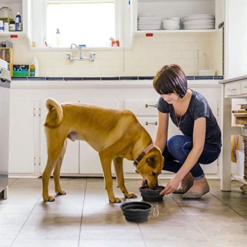 Kytely Large Collapsible Dog Bowls 2 Pack, 34oz Foldable Dog Travel Bowl