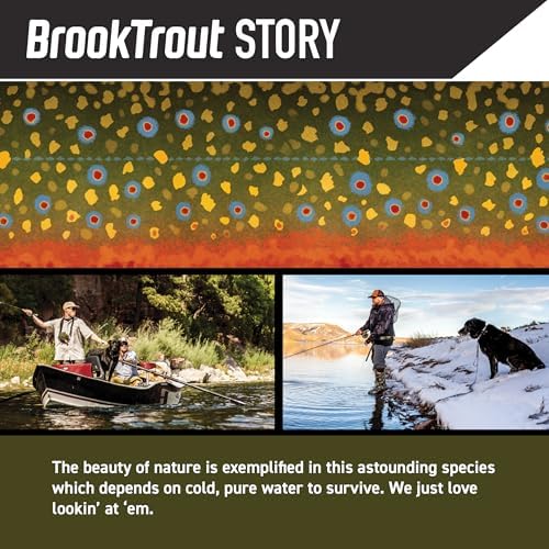 Wolfgang Venture Dog Collar Brooktrout M