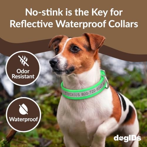 dogIDs Personalized Reflective Waterproof Dog Collar - Custom, Durable, Adjustable, Odor Resistant, Safe, Engraved - Green, 1 in x 22 in (Fits Neck Sizes: 20-24 in)